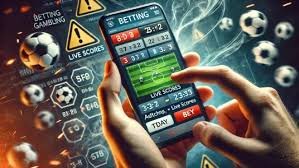 6566bet